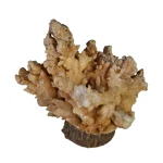 AUTO DRAFT