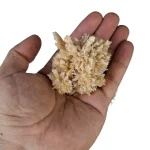 سنگ آراگونیت درختی طبیعی کلکسیونی