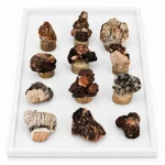 سنگ باریت طبیعی کلکسیونی