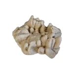 دولومیت شکری طبیعی کلکسیونی
